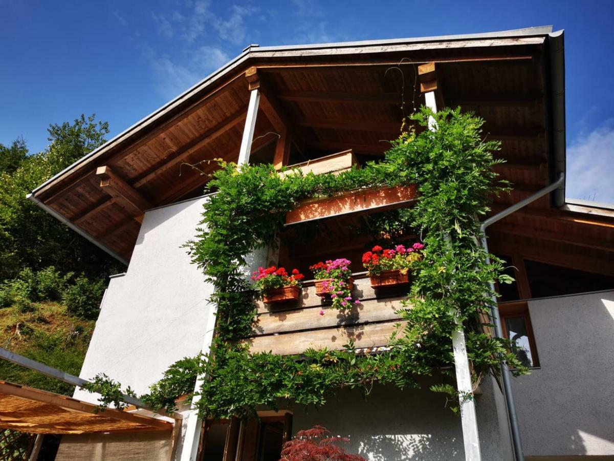 Minavill La Casa Sulle Dolomiti Bed & Breakfast Fiera Di Primiero Exterior photo